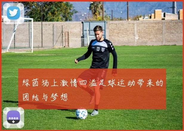 绿茵场上激情四溢足球运动带来的团结与梦想