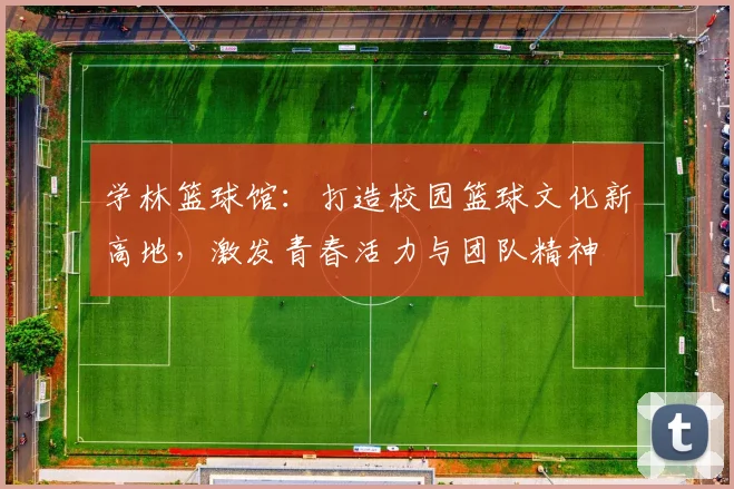 学林篮球馆：打造校园篮球文化新高地，激发青春活力与团队精神