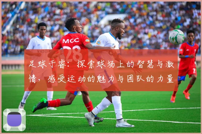 足球于睿：探索球场上的智慧与激情，感受运动的魅力与团队的力量
