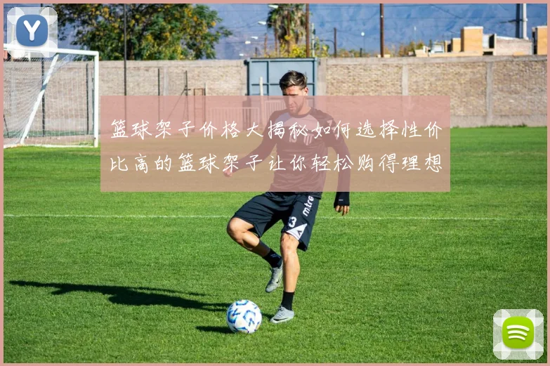 篮球架子价格大揭秘如何选择性价比高的篮球架子让你轻松购得理想产品