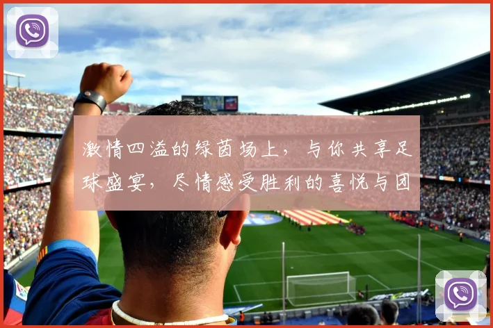 激情四溢的绿茵场上，与你共享足球盛宴，尽情感受胜利的喜悦与团队的力量